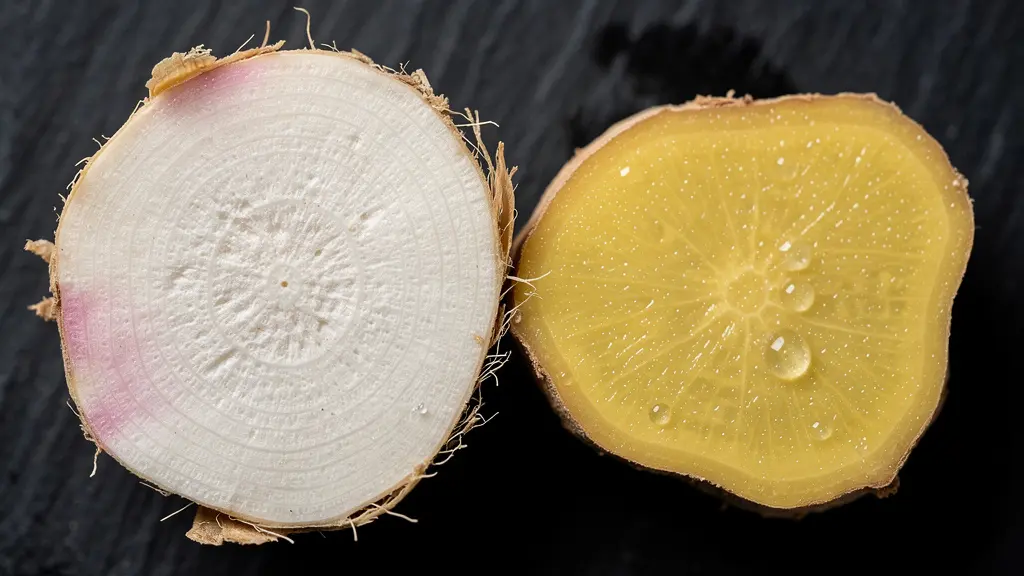 Gros plan macro sur galanga et gingembre coupés montrant leurs textures intérieures distinctes